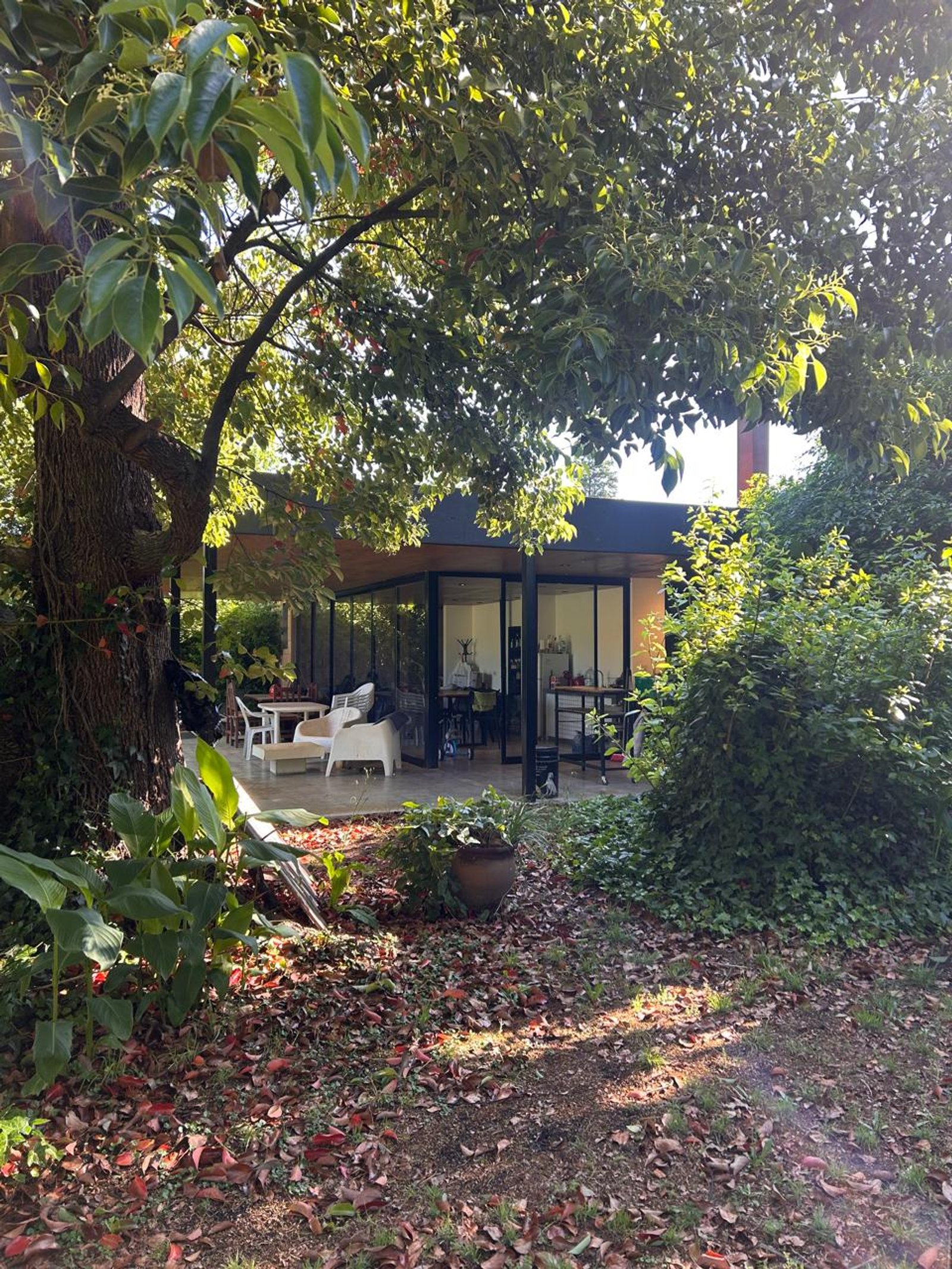 casa moderna con patio exuberante y mobiliario exterior blanco — proyecto QUINCHO CB, por arquitectura.JD, en City Bell